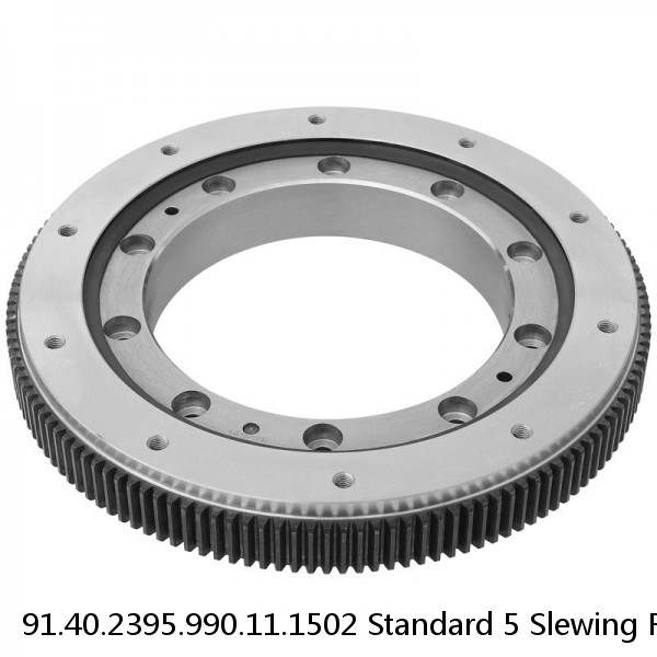 91.40.2395.990.11.1502 Standard 5 Slewing Ring Bearings
