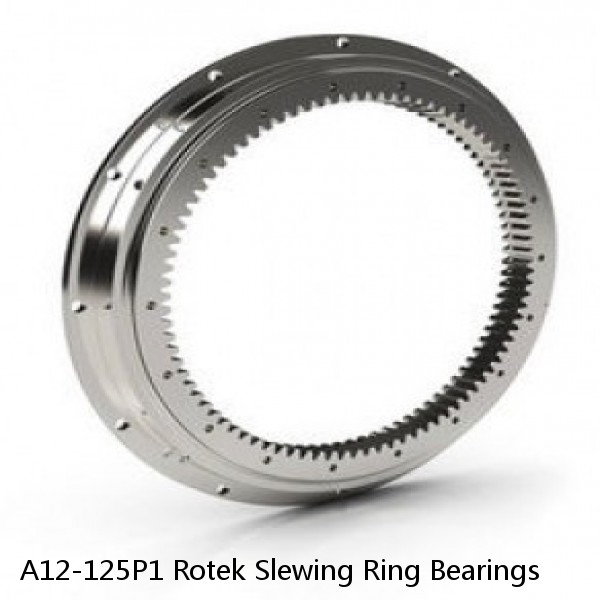 A12-125P1 Rotek Slewing Ring Bearings