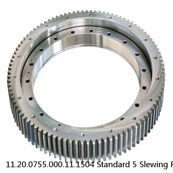 11.20.0755.000.11.1504 Standard 5 Slewing Ring Bearings