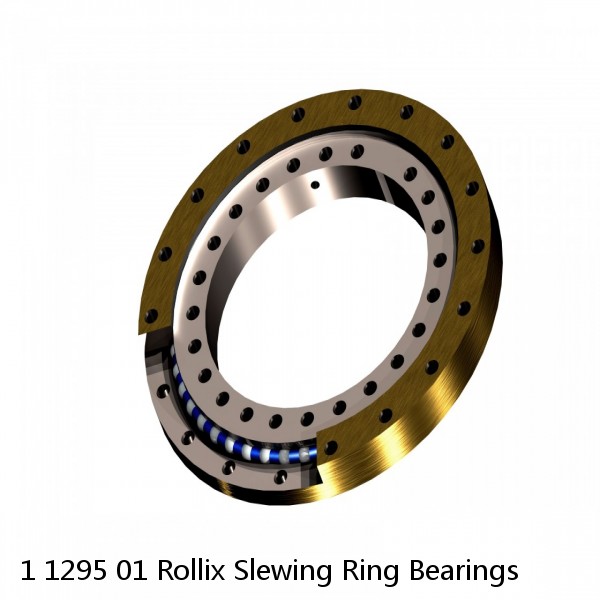 1 1295 01 Rollix Slewing Ring Bearings #1 small image