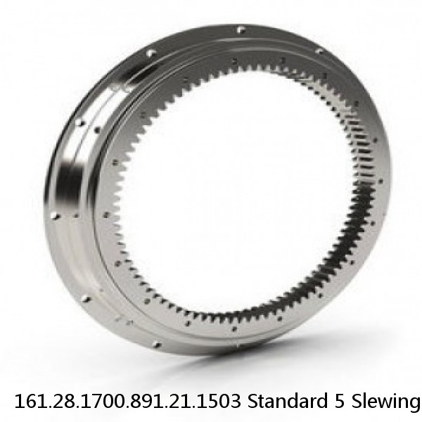 161.28.1700.891.21.1503 Standard 5 Slewing Ring Bearings #1 small image