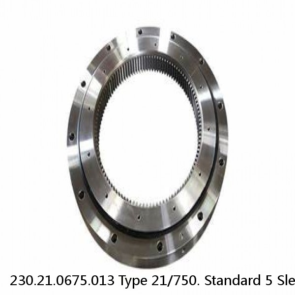 230.21.0675.013 Type 21/750. Standard 5 Slewing Ring Bearings #1 small image