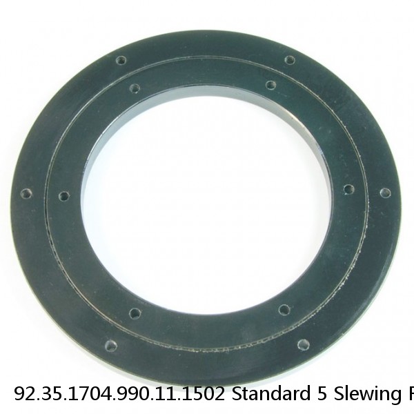92.35.1704.990.11.1502 Standard 5 Slewing Ring Bearings #1 small image