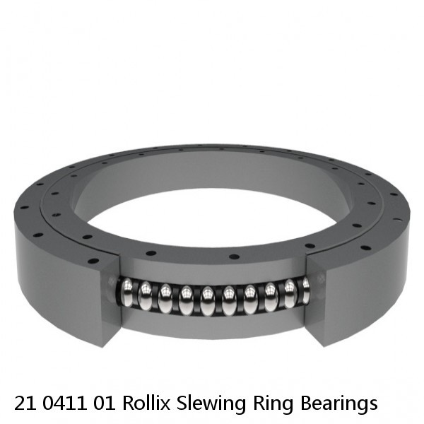 21 0411 01 Rollix Slewing Ring Bearings #1 small image