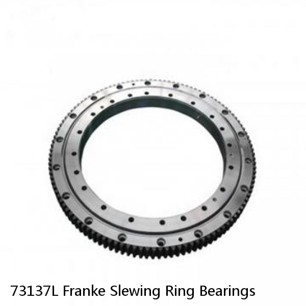 73137L Franke Slewing Ring Bearings #1 image