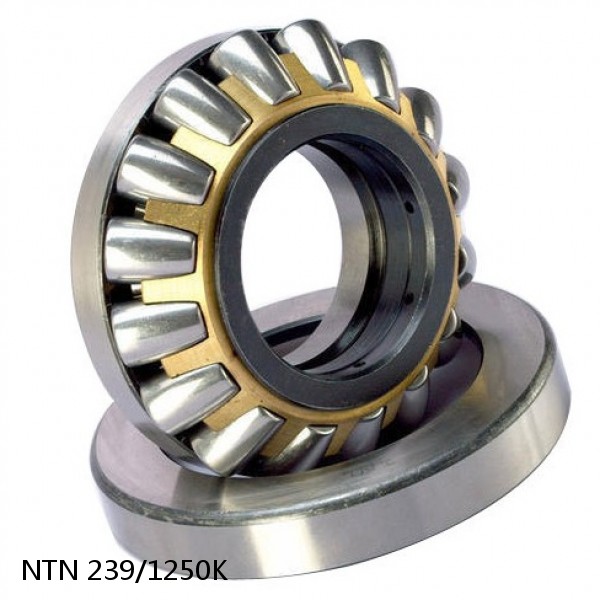 239/1250K NTN Spherical Roller Bearings #1 image