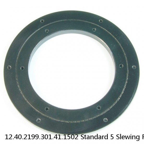 12.40.2199.301.41.1502 Standard 5 Slewing Ring Bearings #1 image