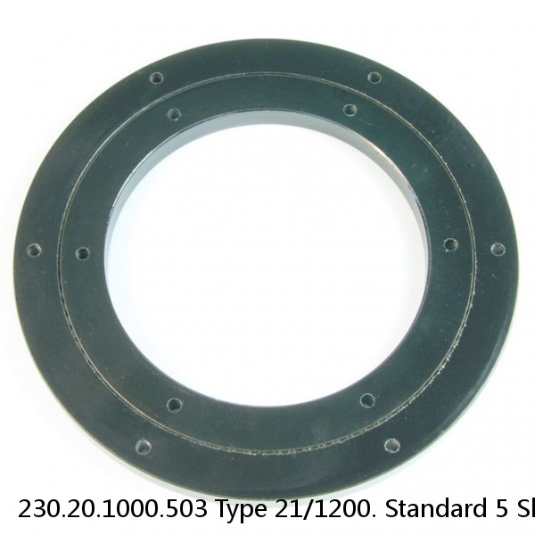 230.20.1000.503 Type 21/1200. Standard 5 Slewing Ring Bearings #1 image