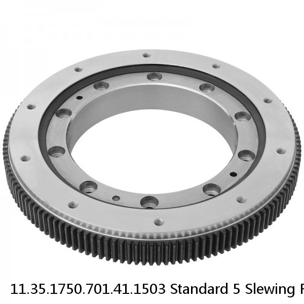 11.35.1750.701.41.1503 Standard 5 Slewing Ring Bearings #1 image