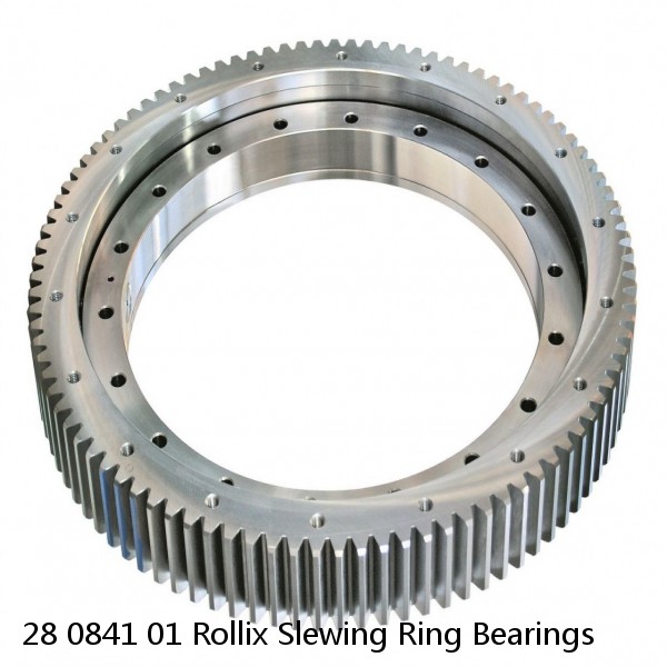 28 0841 01 Rollix Slewing Ring Bearings #1 image