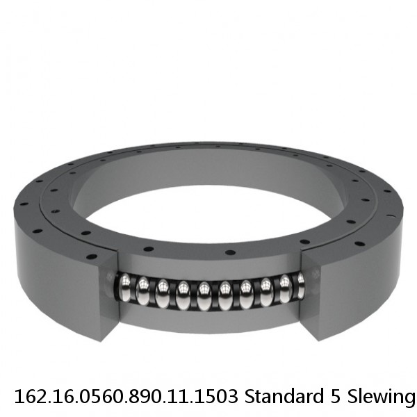 162.16.0560.890.11.1503 Standard 5 Slewing Ring Bearings #1 image