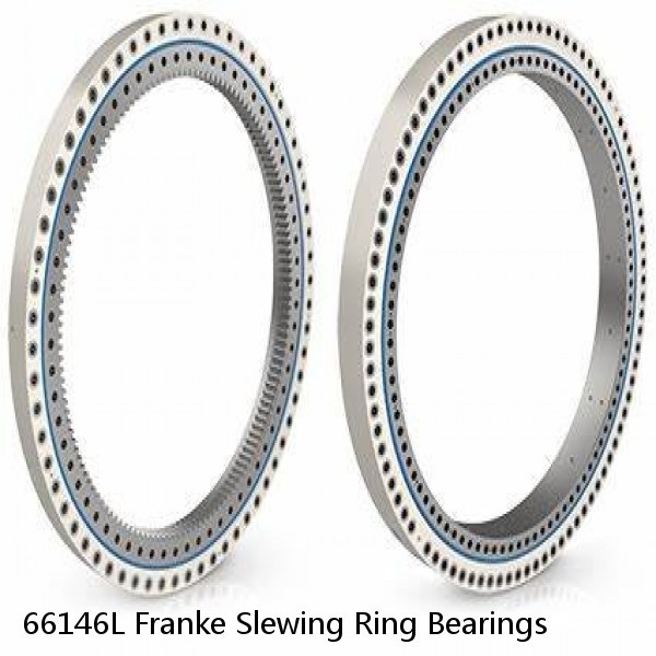 66146L Franke Slewing Ring Bearings #1 image