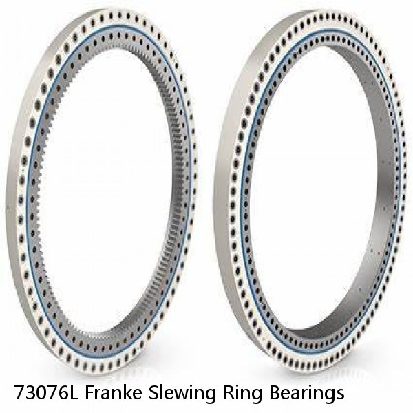 73076L Franke Slewing Ring Bearings #1 image